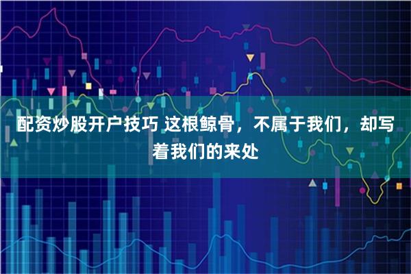 配资炒股开户技巧 这根鲸骨，不属于我们，却写着我们的来处