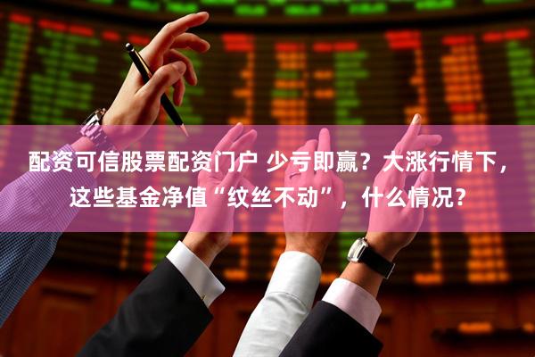 配资可信股票配资门户 少亏即赢？大涨行情下，这些基金净值“纹丝不动”，什么情况？