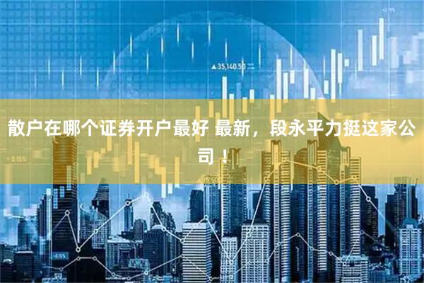 散户在哪个证券开户最好 最新，段永平力挺这家公司 ！